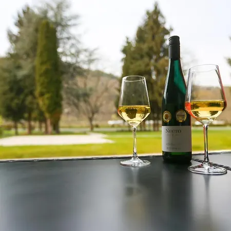 Rieslingresidenz Apartament Traben-Trarbach