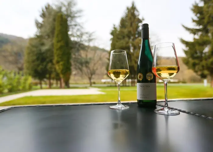 Rieslingresidenz Apartman Traben-Trarbach